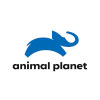 ANIMAL PLANET logo